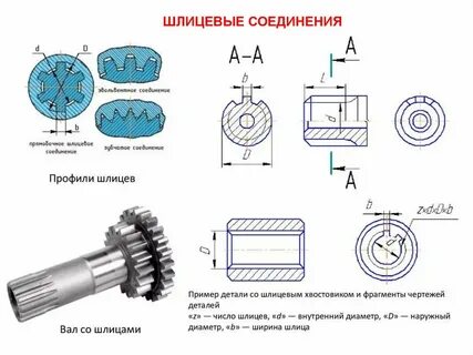 Неподвижное зубчатое колесо