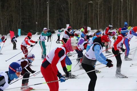 Березники лыжные