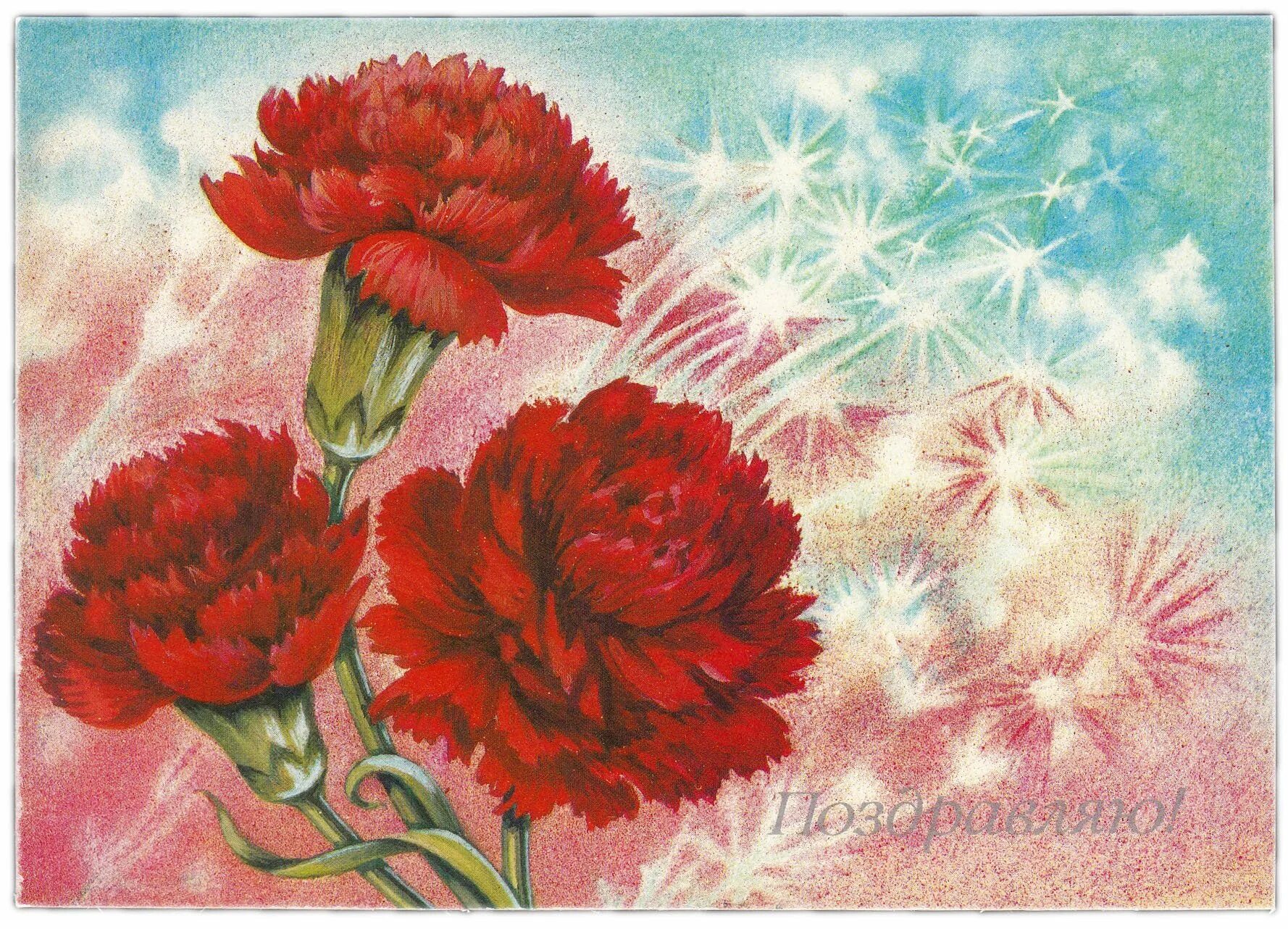 23 февраля гуашью. Гвоздики гуашью. день победы гвоздики. гвоздики 23 февраля. гвоздики акварель.