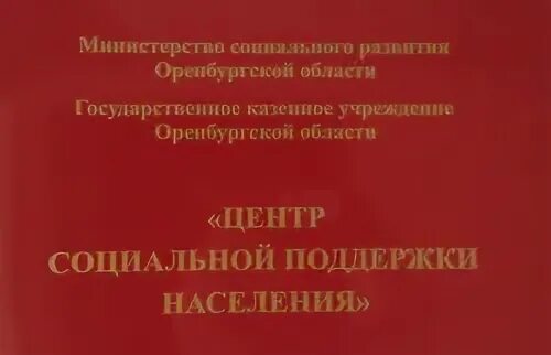 Улица шелухина 13 орск. Оренбургский район центр социальной поддержки населения нежинка. Улица шелухина орск. Единовременная выплата при усыновлении ребенка в 2023 году. Оренбургская область домбаровский 3.