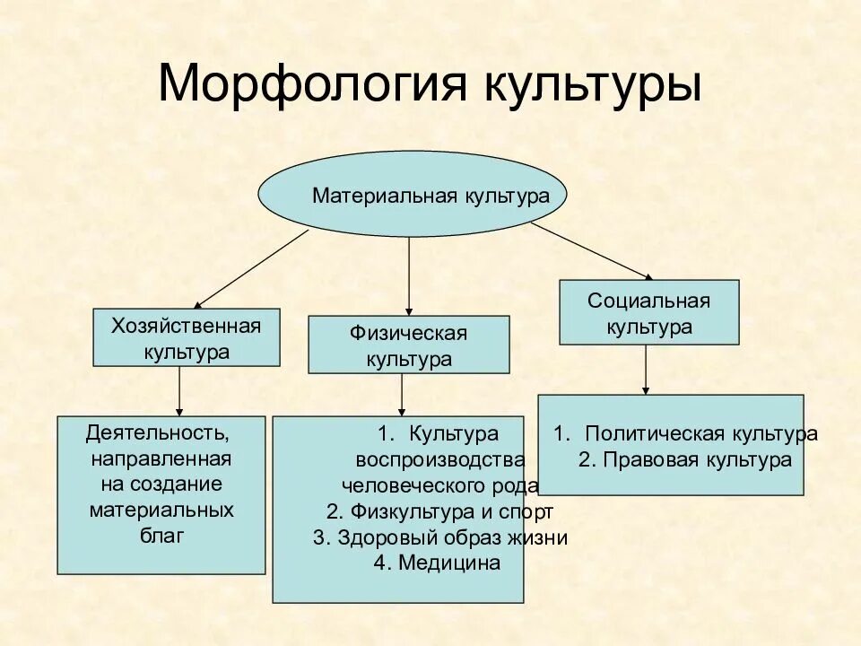 Морфологическая культура