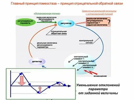 Связи снижением