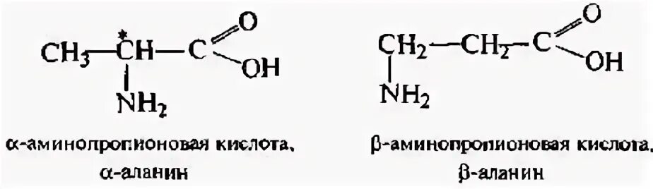 Метиловый эфир Альфа аминопропионовой кислоты. 3 аминопропионовая кислота