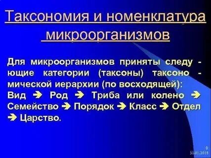 Таксономия и номенклатура