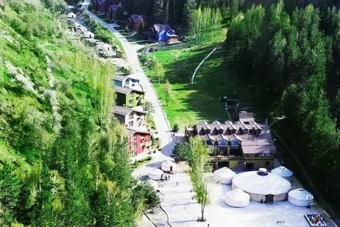 Oi qaragai