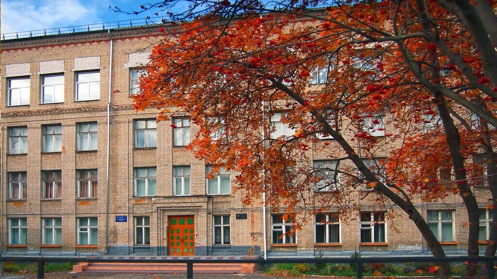 13 школа муром. 12 школа муром. Муром школа №20. Школа 19 муром. 12 школа муром.