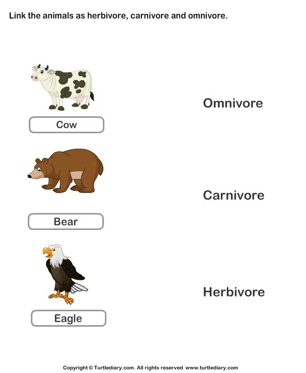 Carnivore перевод. Carnivore Herbivore. Carnivore animals. Herbivore Carnivore Omnivore Worksheet. Carnivore Herbivores Omnivores animals Worksheets.