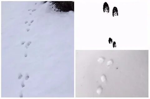 След разбор