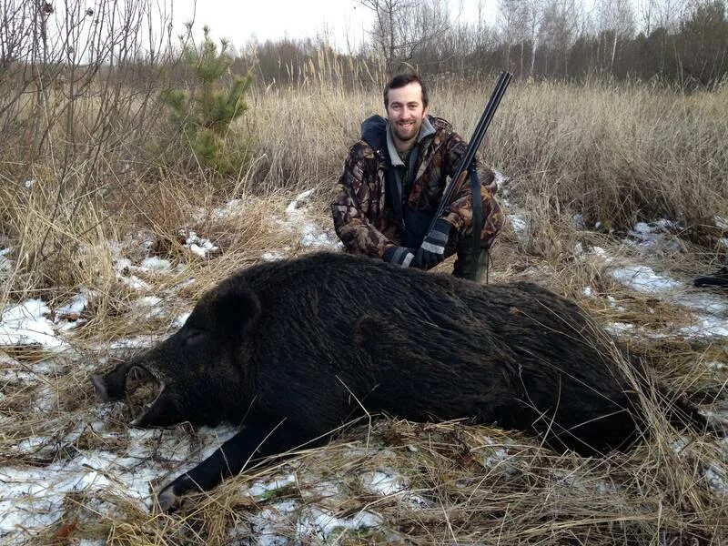 Евгения борисова охотница. Девушка с поросенком. Девушка кабан. Дикий кабан одомашненный. Девушка с поросенком.