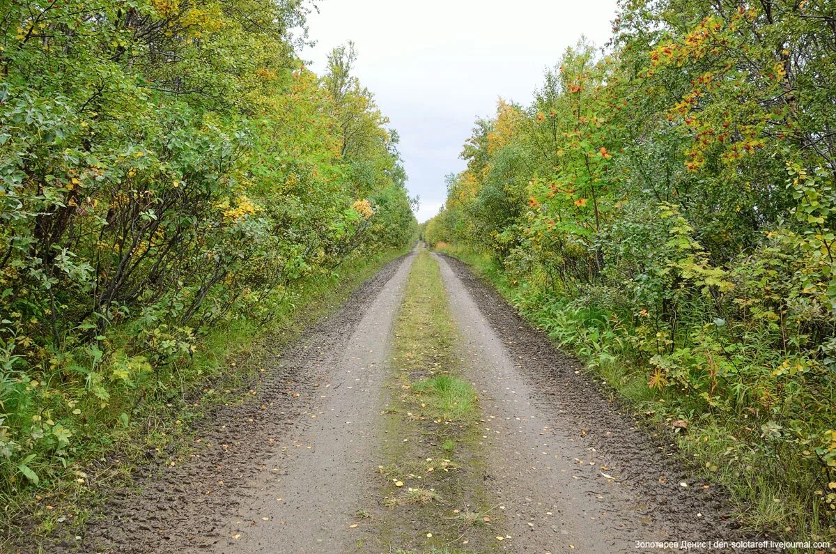 Старые дороги сегодня. Старая дорога Беларусь. Старая Луостарская дорога. Старая немецкая дорога. Старые дороги Беларусь.