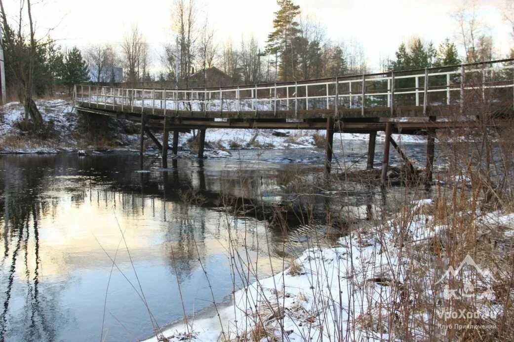 Мга питер река. Река мга ленинградская область. Река мга. Исток реки мга ленобласть. Речка мга ленинградская область.