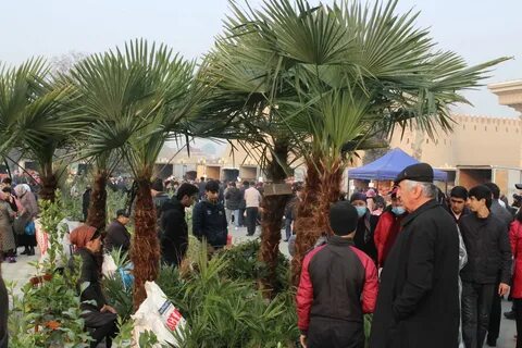 Погода в худжанде в ноябре