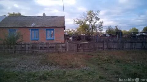 Погода зеленый дол