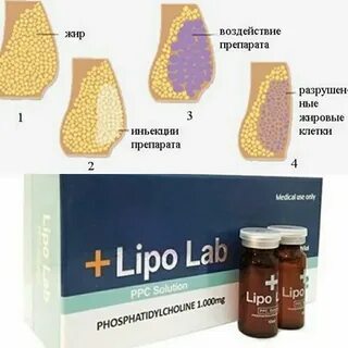 Липолитик лайт