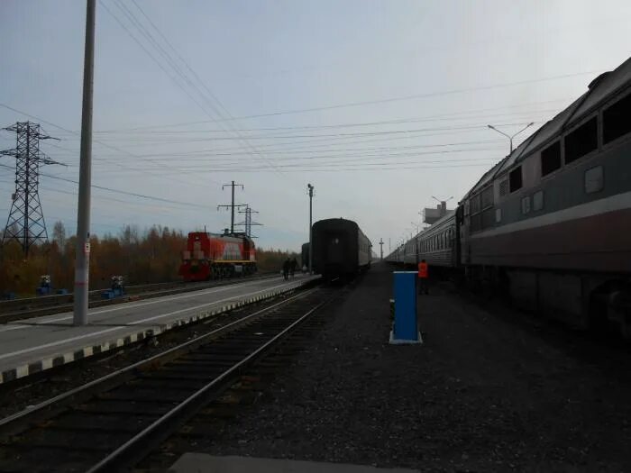 Жд нижневартовск телефон. Станция Нижневартовск 1. Нижневартовск 2 ЖД станция. ЖД Нижневартовск 1. Сургут - Нижневартовск-1 поезд.