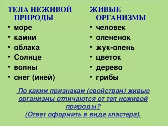 Различие живых организмов. Чем отличаются живые организмы. Различие живого и неживого. Живые организмы от тел неживой природы. Признаки живого от неживого организма.