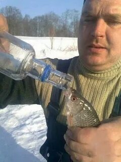 Бухают рыбы