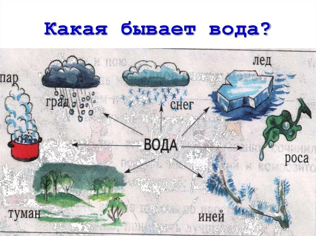 Где есть вода. Окружающий мир вода. Какая бывает вода. Состояния воды 2 класс. Проект вода.