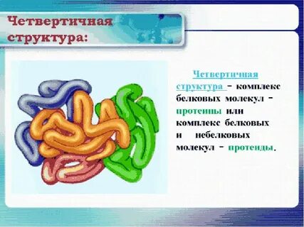 Четвертичная структура белка форма