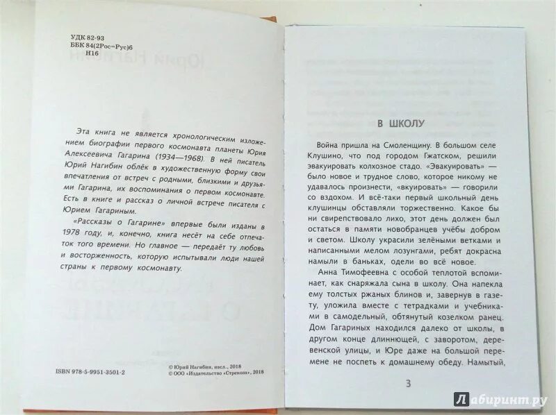 Маленькие рассказы о большой судьбе ю нагибина. Нагибин рассказы о Гагарине. Иллюстрации к книге рассказы о Гагарине.