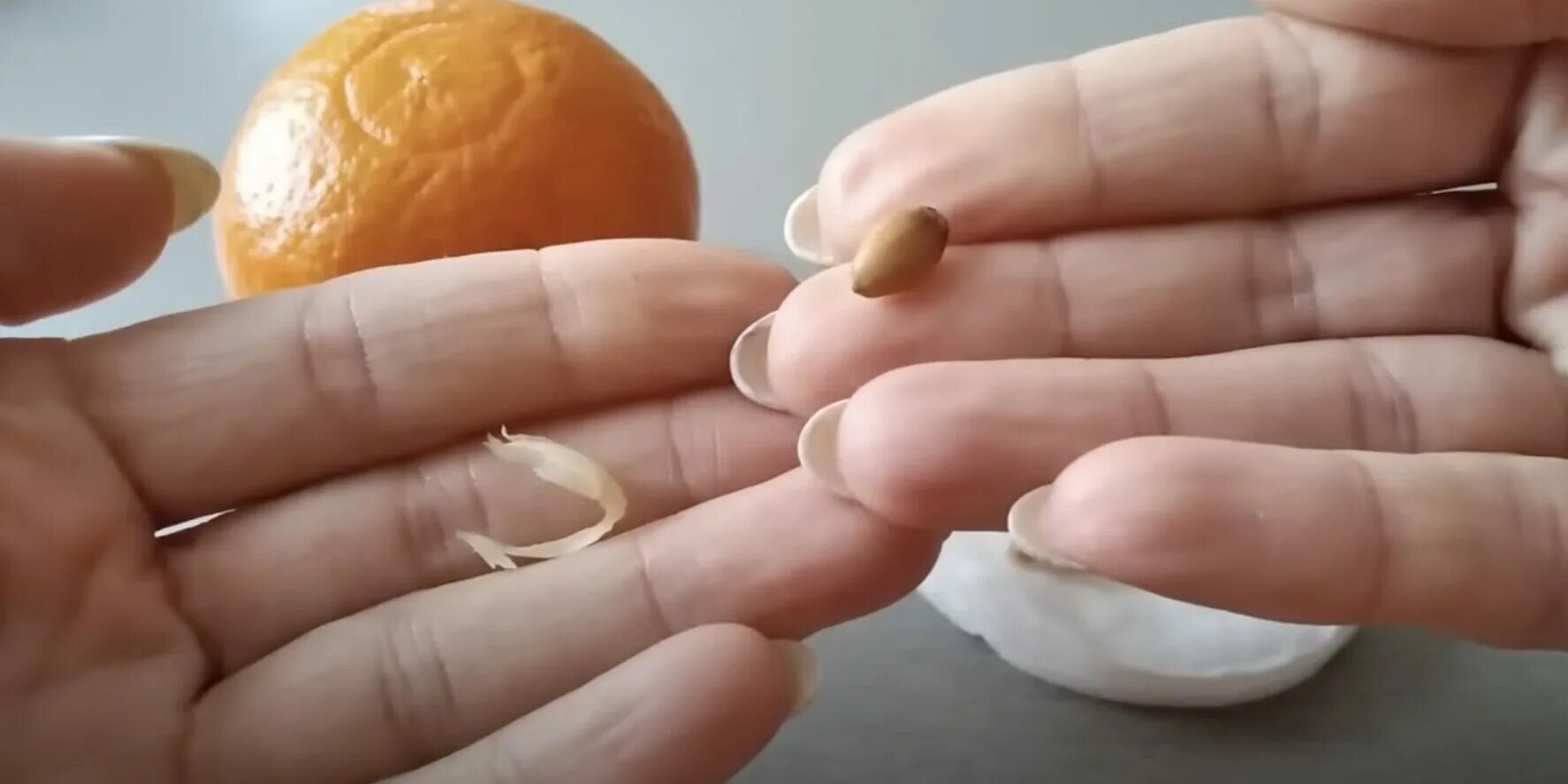 Польза мандариновых косточек. Польза мандариновых косточек. Польза мандариновых косточек. Польза мандариновых косточек. Польза мандариновых косточек.