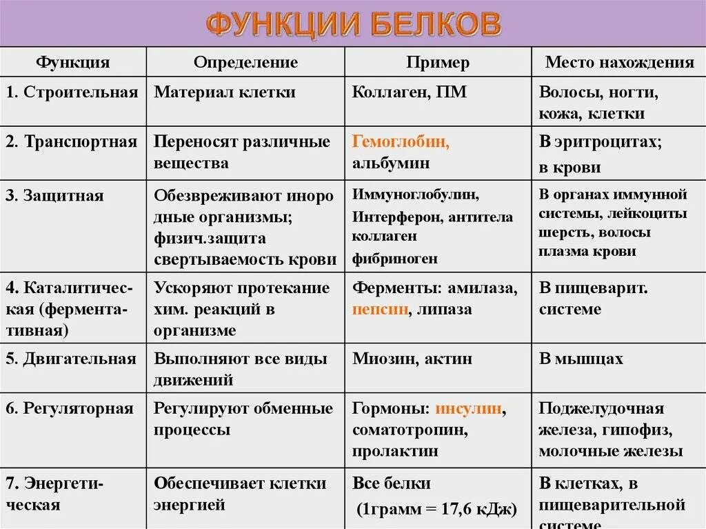 Список функций белков