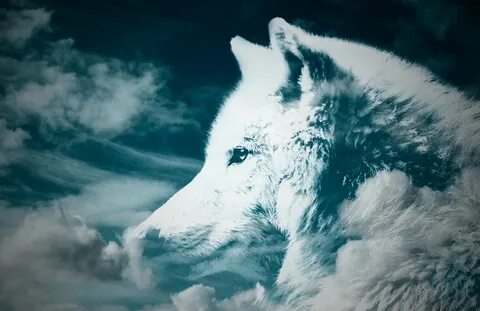 White wolf отзывы