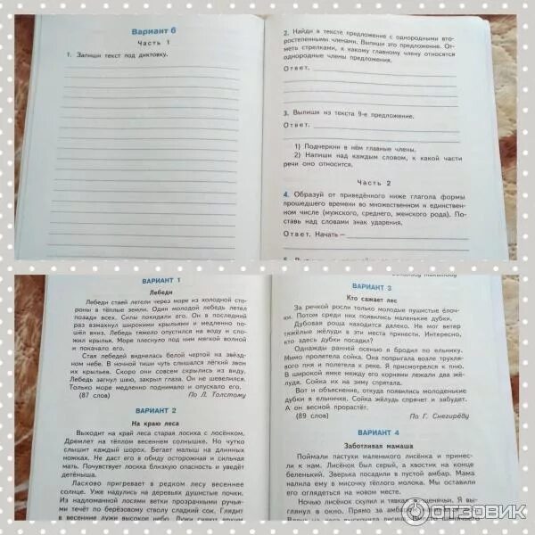 Диктант наступила тишина. Диктант 8 класс. Диктант тишина все в природе замерло. В истории русской живописи сохранились имена прекрасных художников. Диктант тишина все в природе замерло.