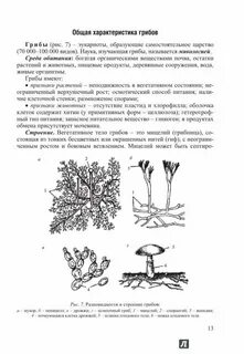 Грибы биология егэ