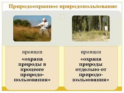 Тест по охране природопользования