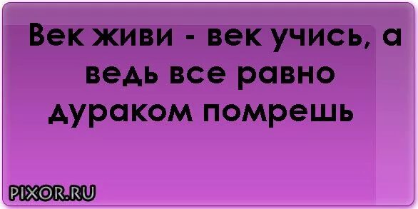 Два века не проживешь 86. Век живи век учись. Век живи век учись дураком. Век живи дураком помрёшь. Век жмви век учись а дураком помрёшь.