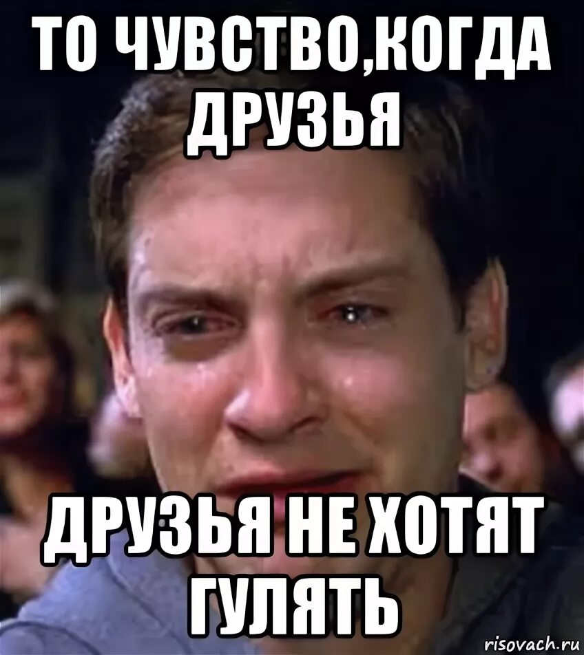 Кто хочет гулять. Не с кем гулять. Идем гулять. Почему не хочу идти гулять. Не хочу гулять.