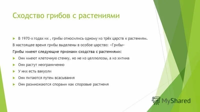 Сходством грибов с растениями является. Сходство грибов с растениями. Почему грибы выделяют в особое царство.