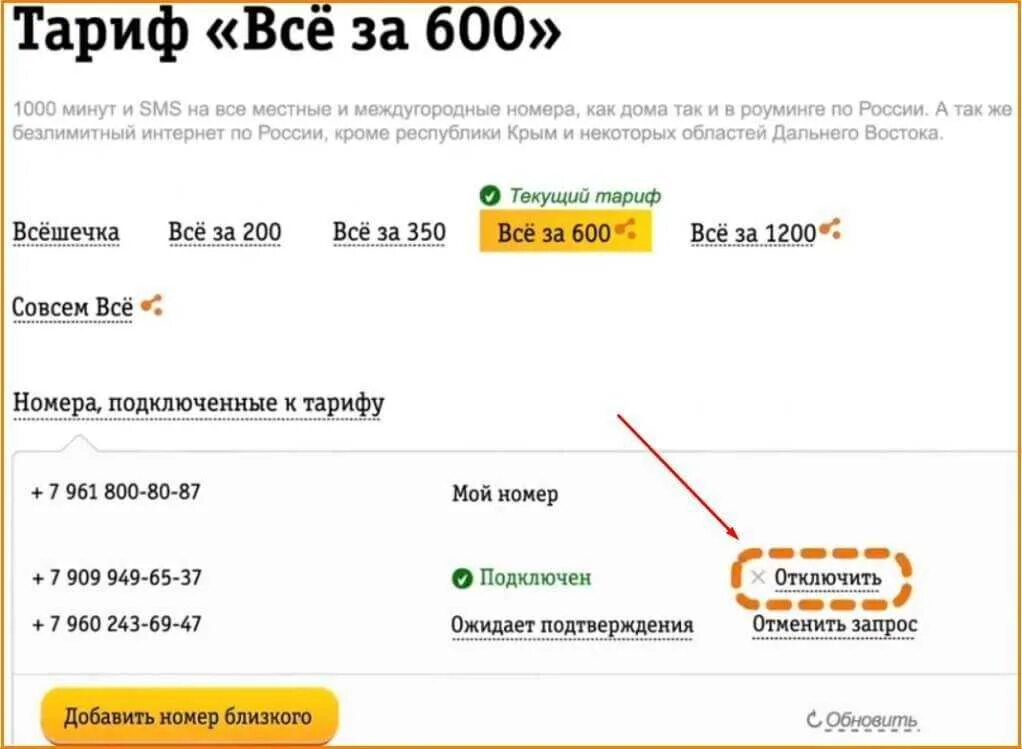 Междугородные номера. Как подключить номер к тарифу. Подключение дополнительного номера Билайн. Тариф семейный Билайн. Семейный тариф Билайн подключить номер.