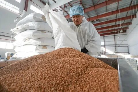 Квота на зерно минсельхоз