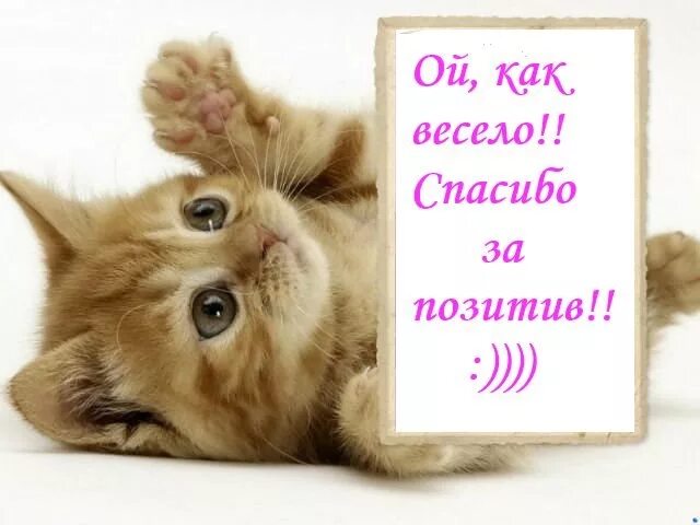 благодарю за позитив. ой спасибочки. спасибо за хорошее насто. позитивные спасибо. позитивная открытка спасибо.