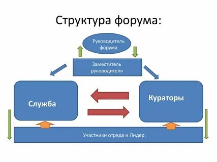 Куратор службы единое окно
