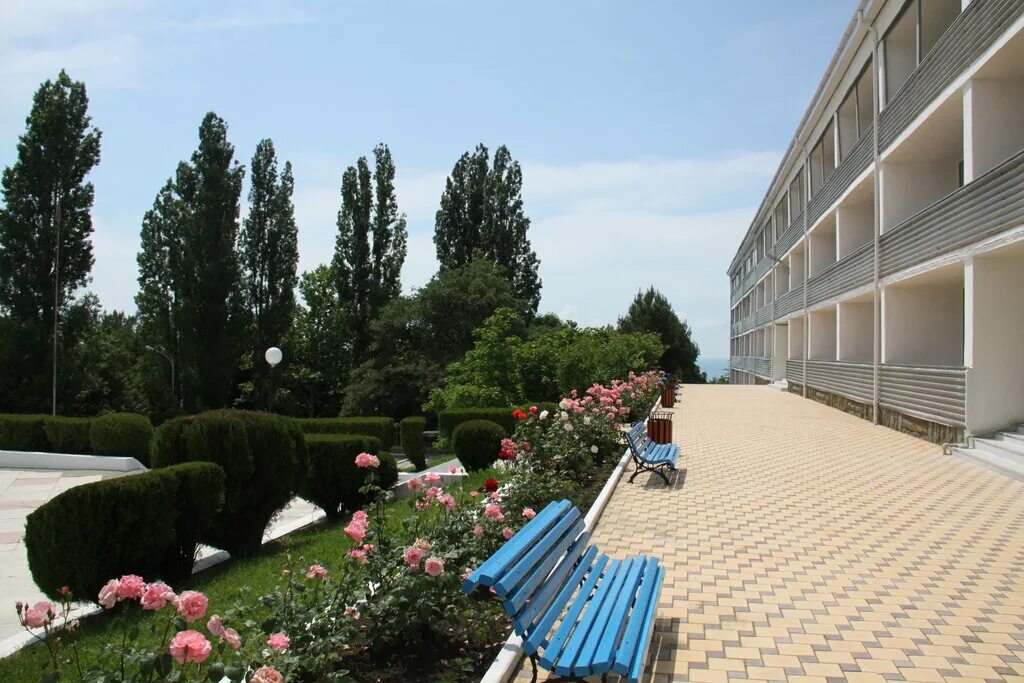 лагерь старт энерджи кабардинка. краснодарский край лагерь старт. лагерь кировец кабардинка. лагерь старт туапсе 2017. дол старт туапсинский район.