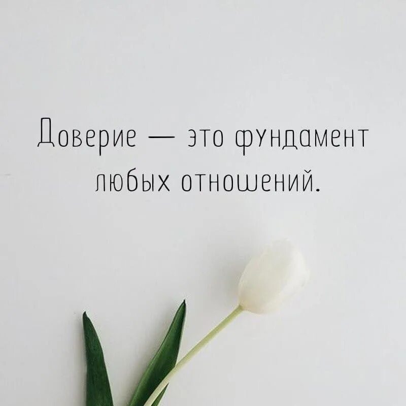 цитаты про отношения. чувства мысли поступки. высказывания о поступках людей. чувства мысли поступки. высказывания о поступках.