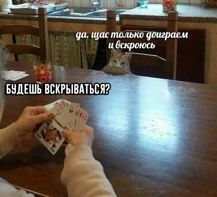 Щас буду делать. Вскрываться будешь щас только доиграем. вскрываемся мем. вскрываться будете мем.