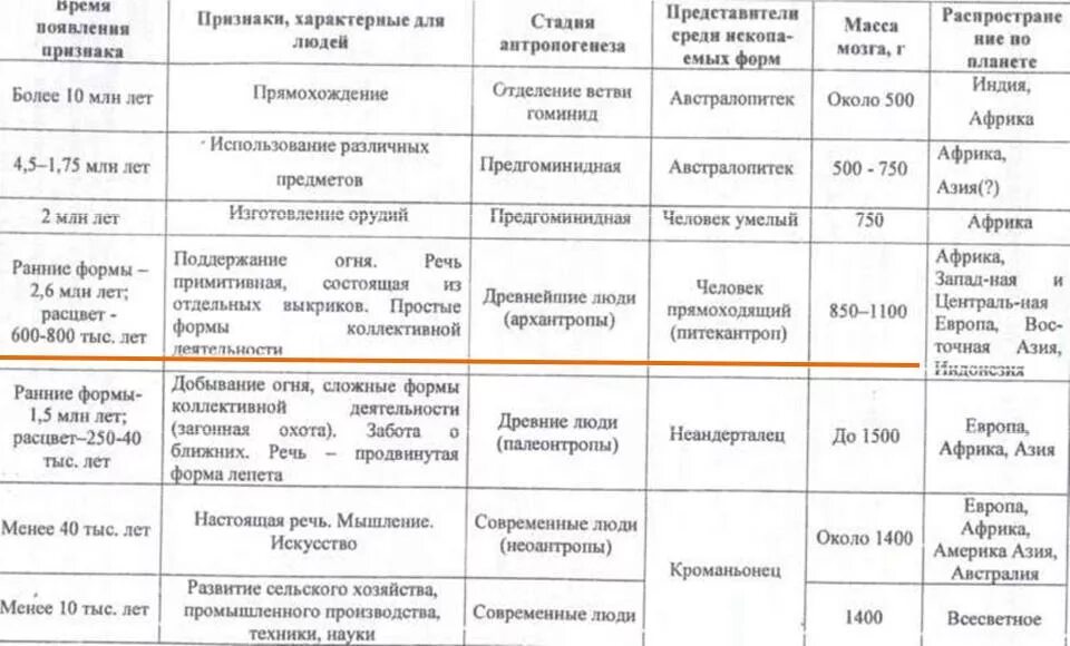 Таблица этапы эволюция человека 9 класс биология. Этапы антропогенеза таблица. Стадии антропогенеза таблица 11 класс. Таблица Антропогенез 11 класс. Таблица по биологии 8 класс происхождение человека Антропогенез.