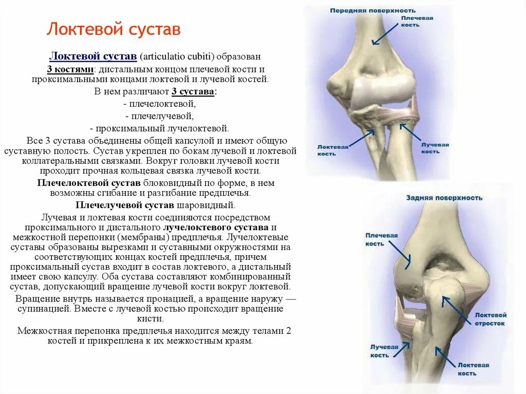 Болят лучевые кости почему