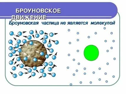 Броуновское движение физика 7 класс тест. Броуновское движение физика 7 класс тест