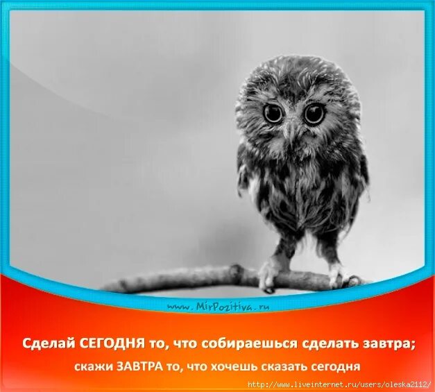 Кем ты собираешься быть