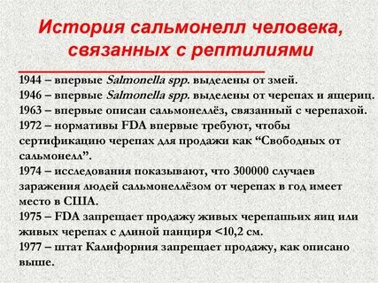 Сальмонеллы черепаха