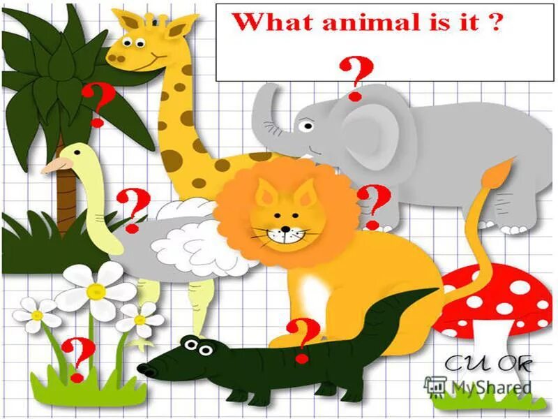 Its can run. I can jump презентация. Its can run. Стих i can. It can run very.