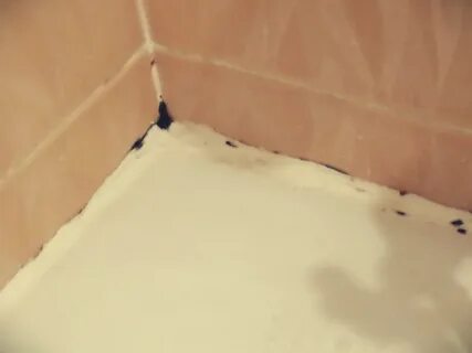 Плесень в ванне между плиткой