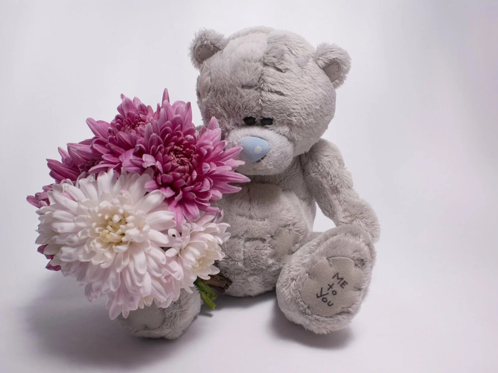 Teddy bear colors