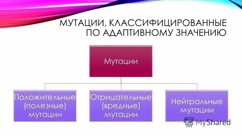 Полезные мутации. Мутации, классифицированные по адаптивному значению.