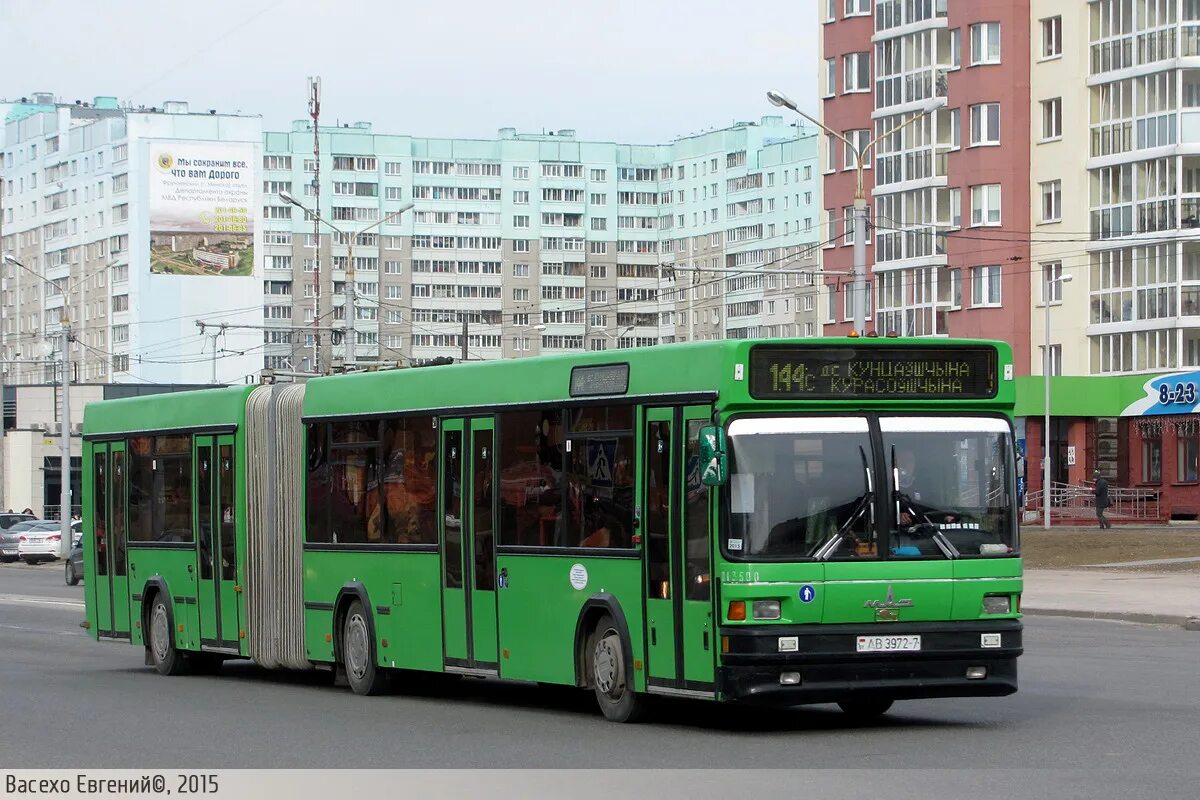 Маз 203. Автобус маз 101. 065. 46 автобус минск. Маз 107.